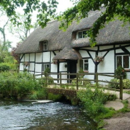 Stunning 2 Bedroom Flat In A Central Location New Alresford Esterno foto